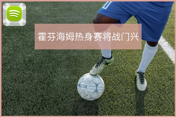 霍芬海姆热身赛将战门兴