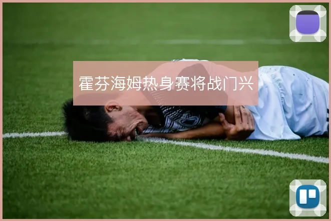 霍芬海姆热身赛将战门兴